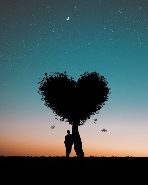 The Weight of a Heart